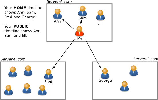 Difference between home and public timelines
